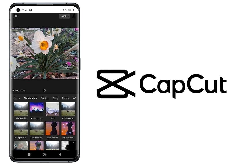 CapCut ile Video Düzenleme Ri Akademi