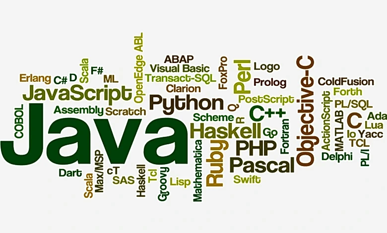 Türkiye`de En Popüler Yazılım Dilleri ve Kullanım Alanları nelerdir?